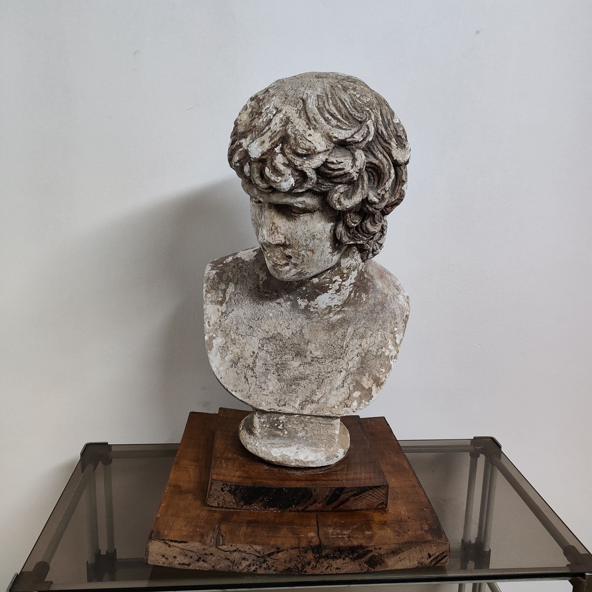 visionidepoca-david-di-Michelangelo-mezzo-busto-del-XX-secolo-in-gesso-su-base-di-noce-frontale-3