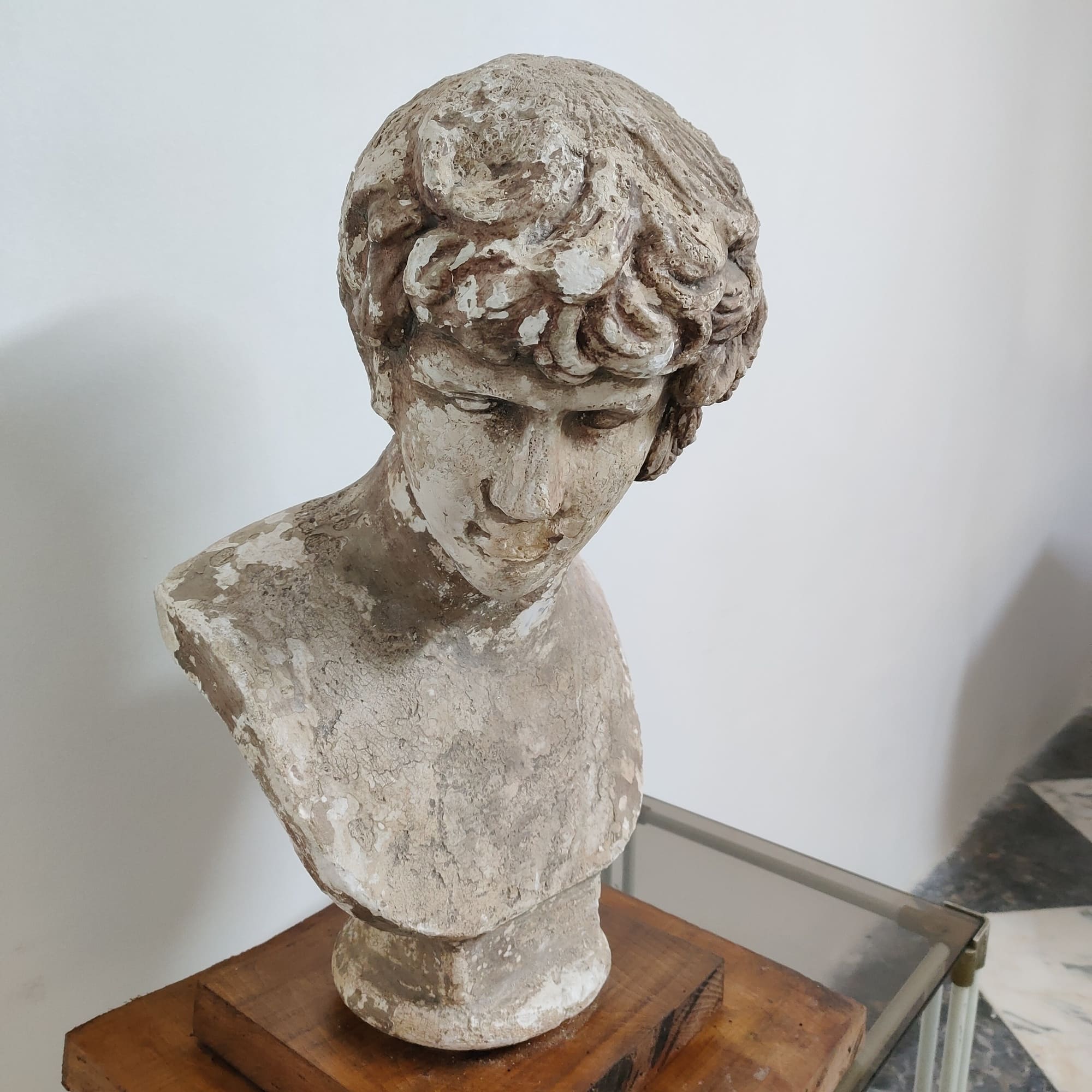 visionidepoca-david-di-Michelangelo-mezzo-busto-del-XX-secolo-in-gesso-su-base-di-noce-frontale-4
