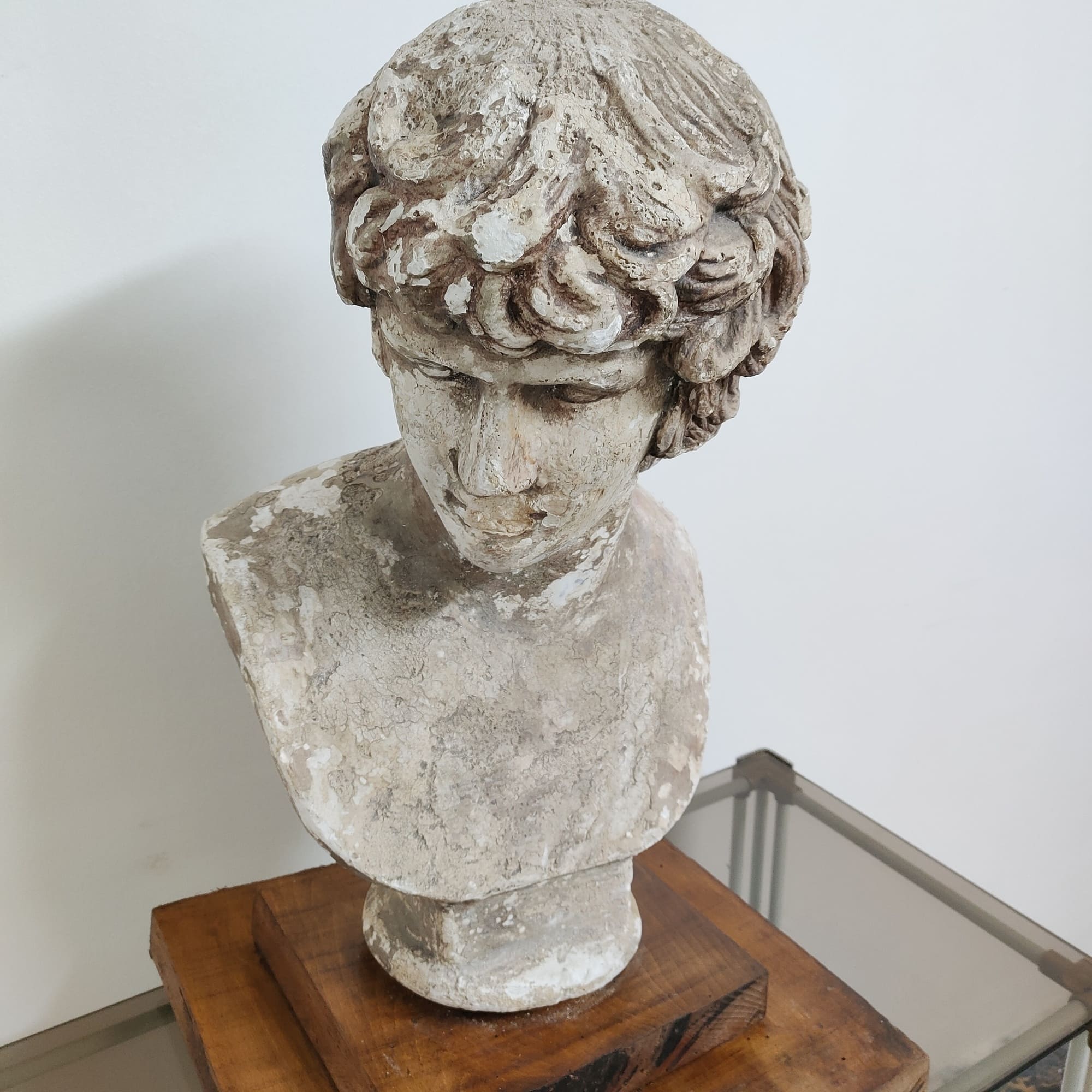 visionidepoca-david-di-Michelangelo-mezzo-busto-del-XX-secolo-in-gesso-su-base-di-noce-frontale-laterale