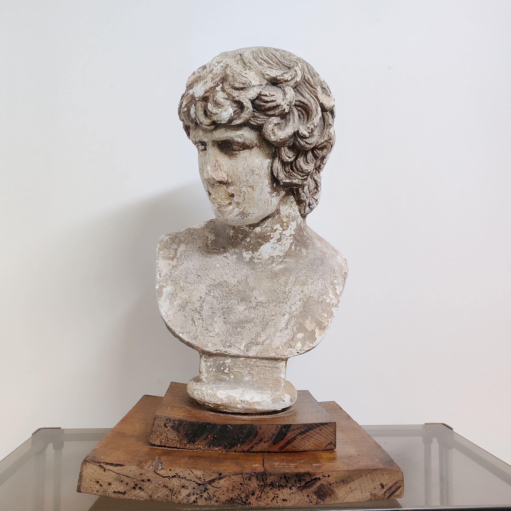 visionidepoca-david-di-Michelangelo-mezzo-busto-del-XX-secolo-in-gesso-su-base-di-noce-frontale