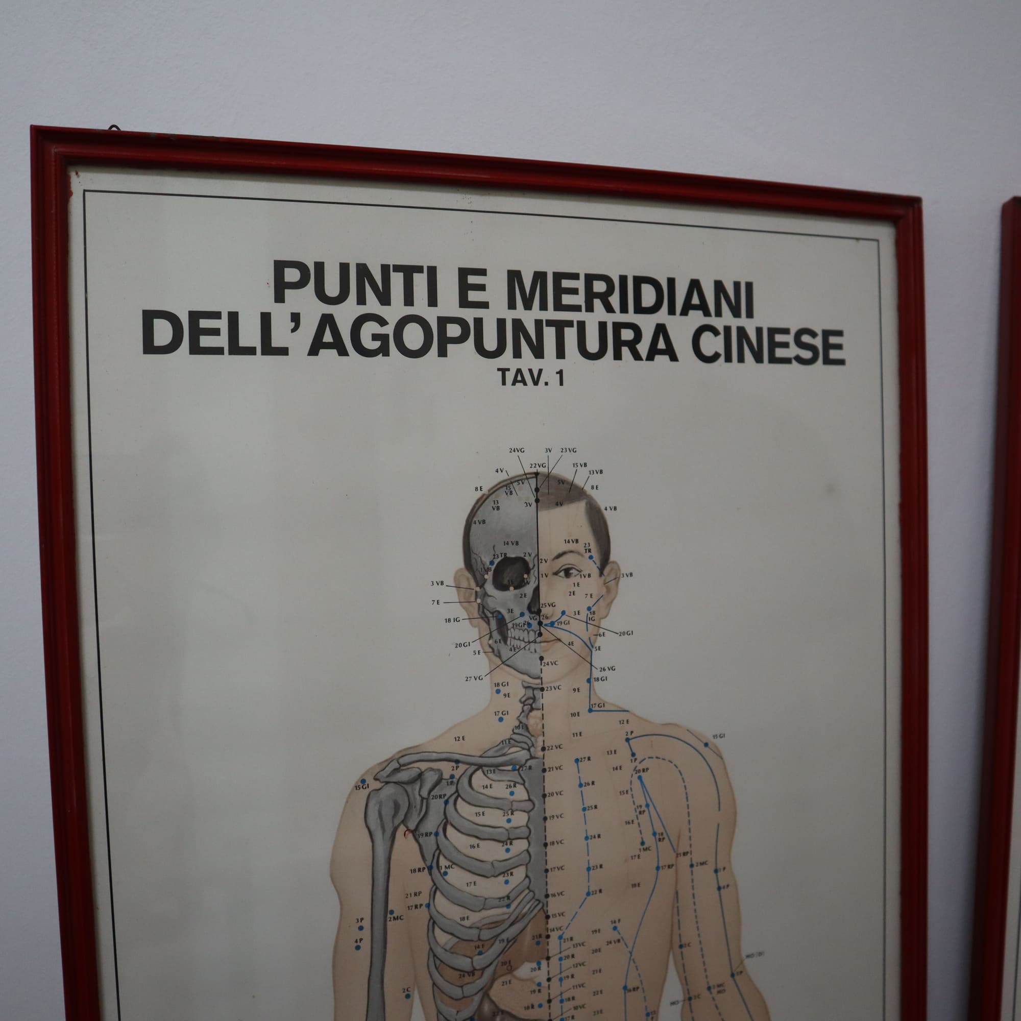visionidepoca-paintings-set-chinese-acupuncture-tables-by-agoelettronica-turin-perfect-conditions-with-red-frame-made-in-italy-1
