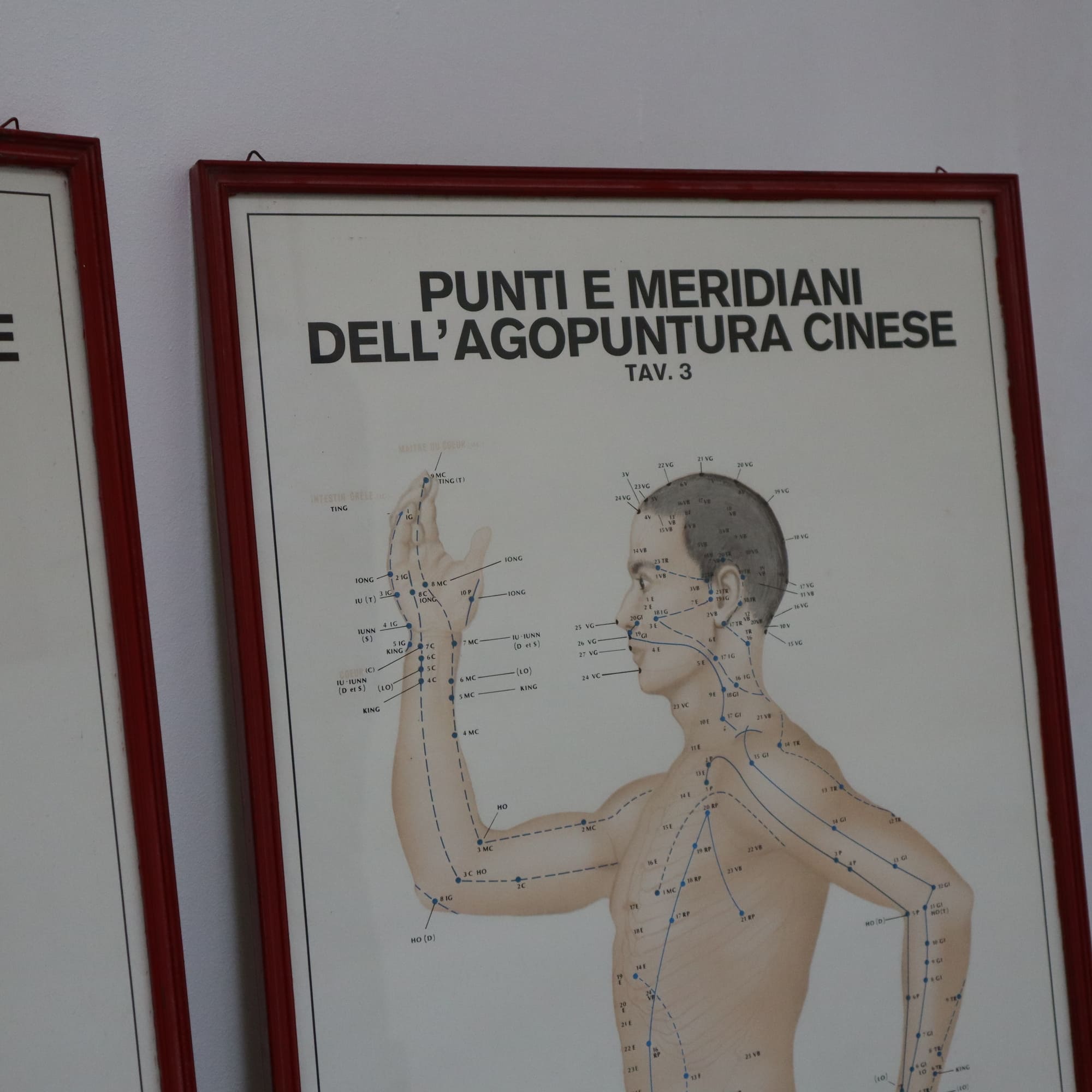 visionidepoca-paintings-set-chinese-acupuncture-tables-by-agoelettronica-turin-perfect-conditions-with-red-frame-made-in-italy-3