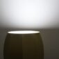 visionidepoca-visioni-depoca-pianatana-lampada-terra-tronconi-gina-tessuto-tecnico-design-illuminazione-arredamento-oro-made-italy-6